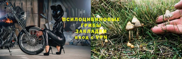 MESCALINE Алзамай