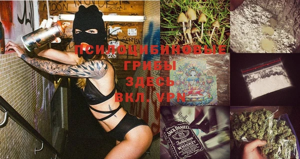 прущая мука Алексин