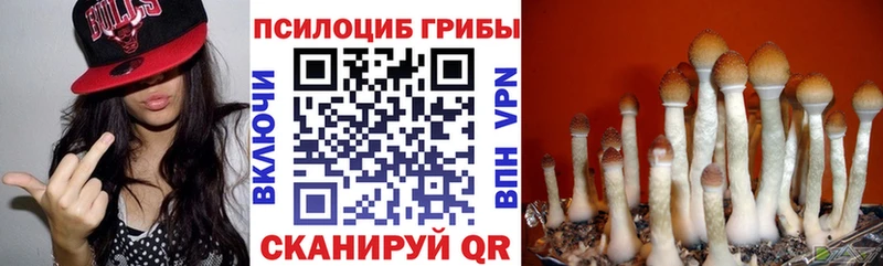 Галлюциногенные грибы Psilocybe  hydra ССЫЛКА  Дмитров 